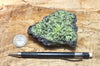 peridotite xenolith in vesicular phonotephrite from the San Carlos Volcanic Field, Arizona - teaching hand specimen