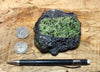 peridotite xenolith in vesicular phonotephrite from the San Carlos Volcanic Field, Arizona - teaching hand specimen