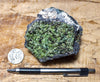peridotite xenolith in vesicular phonotephrite from the San Carlos Volcanic Field, Arizona - teaching hand/display specimen