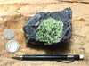 peridotite xenolith in vesicular phonotephrite from the San Carlos Volcanic Field, Arizona - teaching hand/display specimen