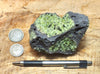 peridotite xenolith in vesicular phonotephrite from the San Carlos Volcanic Field, Arizona - teaching hand/display specimen