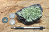 peridotite xenolith in vesicular phonotephrite from the San Carlos Volcanic Field, Arizona - teaching hand/display specimen