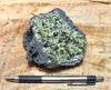 peridotite xenolith in vesicular phonotephrite from the San Carlos Volcanic Field, Arizona - teaching hand/display specimen