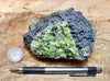 peridotite xenolith in vesicular phonotephrite from the San Carlos Volcanic Field, Arizona - teaching hand/display specimen