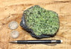 peridotite xenolith in vesicular phonotephrite from the San Carlos Volcanic Field, Arizona - teaching hand/display specimen