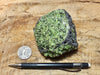 peridotite xenolith in vesicular phonotephrite from the San Carlos Volcanic Field, Arizona - hand/display specimen