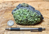 peridotite xenolith in vesicular phonotephrite from the San Carlos Volcanic Field, Arizona - hand/display specimen - Geological Specimen Supply
