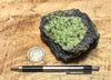 peridotite xenolith in vesicular phonotephrite from the San Carlos Volcanic Field, Arizona - teaching hand/display specimen