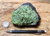 peridotite xenolith in vesicular phonotephrite from the San Carlos Volcanic Field, Arizona - large hand/display specimen - Geological Specimen Supply