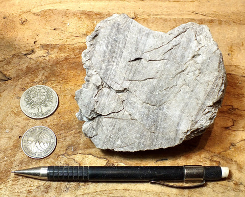 perlite - teaching hand specimen of gray perlite ore - an amorphous hydrated glass