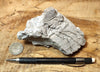 perlite - teaching hand specimen of gray perlite ore - an amorphous hydrated glass