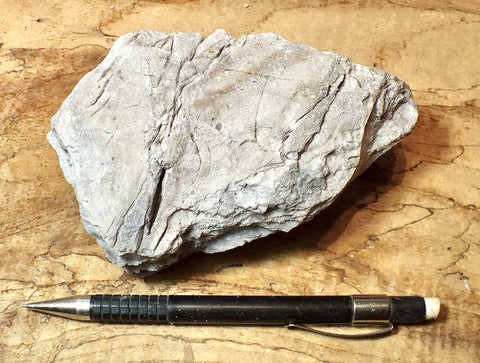 perlite - teaching hand/display specimen of gray perlite ore - an amorphous hydrated glass with embedded Apache tears