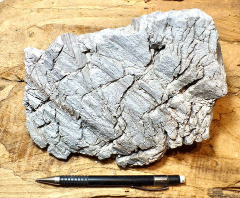 perlite - large display specimen of gray perlite ore - an amorphous hydrated glass