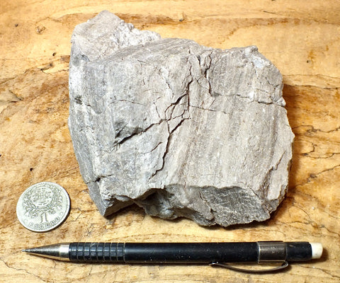 perlite - gray perlite ore - an amorphous hydrated glass - large hand/display specimen