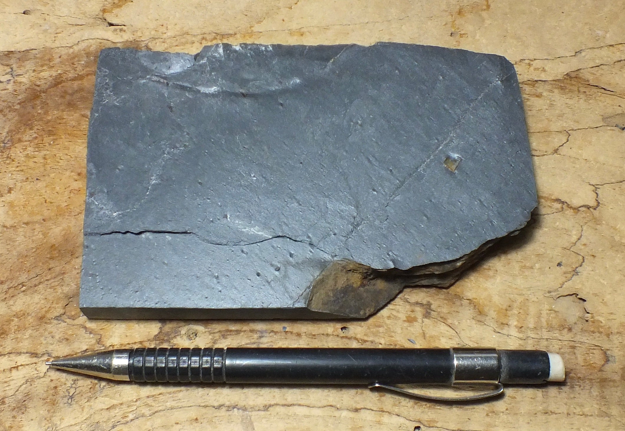 metamorphic rocks – Geological Specimen Supply