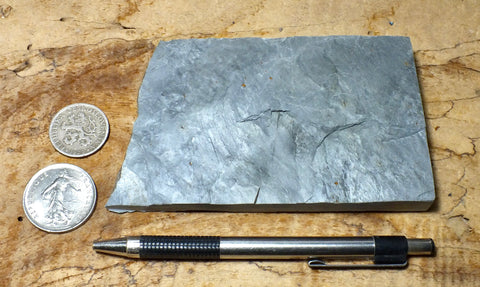 phyllite - hand specimen of a silvery to dark gray Paleozoic phyllite from the Shoo Fly Complex