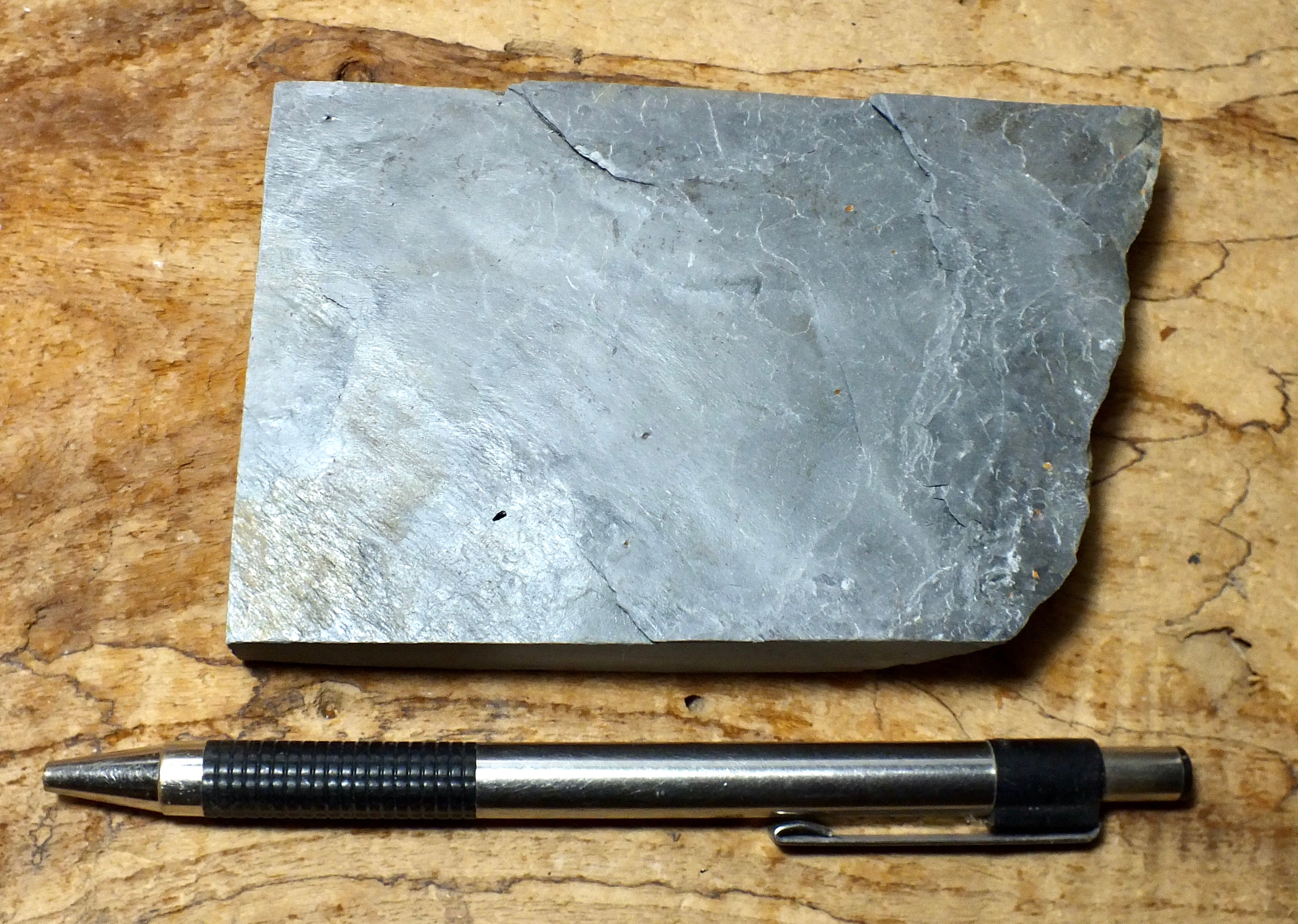 Phywe Sample Rocks metamorphic rocks – Geological Specimen Supply