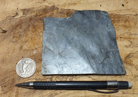 phyllite - hand specimen of a silvery gray Paleozoic phyllite