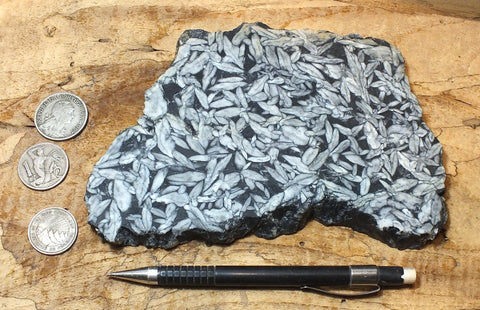 sparry magnesite - pinolith - display specimen of a very unusual metamorphic rock from Austria