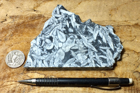 sparry magnesite - pinolith - hand specimen of a very unusual metamorphic rock from Austria