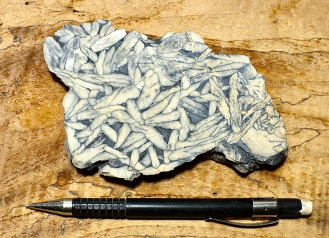 sparry magnesite - pinolith - hand specimen of a very unusual metamorphic rock from Austria