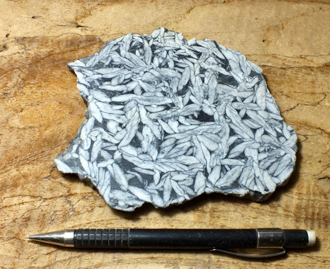 sparry magnesite - pinolith - hand/display specimen of a very unusual metamorphic rock from Austria