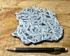 sparry magnesite - pinolith - hand/display specimen of a very unusual metamorphic rock from Austria