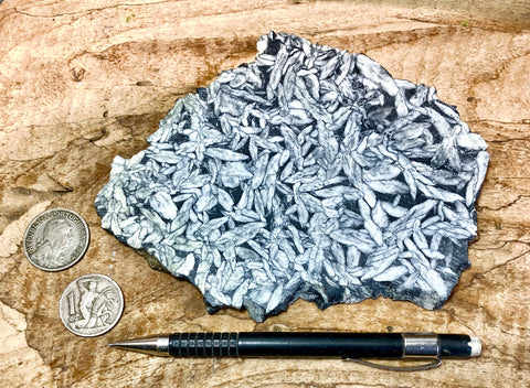 sparry magnesite - pinolith - hand/display specimen of a very unusual metamorphic rock from Austria - Geological Specimen Supply