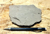 porcelanite - formed from the reprecipitation of silica during the conversion of siliceous sediments to sedimentary rock - Monterey Formation, CA - teaching hand specimen