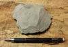 porcelanite - formed from the reprecipitation of silica during the conversion of siliceous sediments to sedimentary rock - Monterey Formation, CA - teaching hand specimen