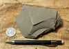 porcelanite - formed from the reprecipitation of silica during the conversion of siliceous sediments to sedimentary rock - Monterey Formation, CA - teaching hand specimen