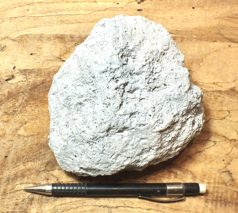 pumice - display specimen of white pumice that floats like a duck