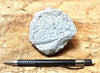 pumice - teaching hand specimen of white pumice that floats like a duck