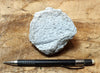 pumice - teaching hand specimen of white pumice that floats like a duck