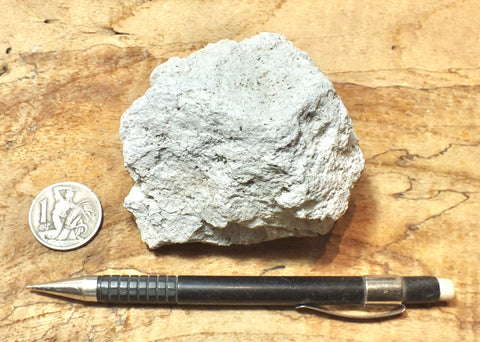 pumice - teaching hand specimen of white pumice that floats like a duck