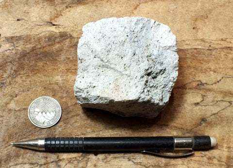 pumice - teaching hand specimen of white pumice that floats like a duck