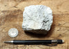 pumice - teaching hand specimen of white pumice that floats like a duck
