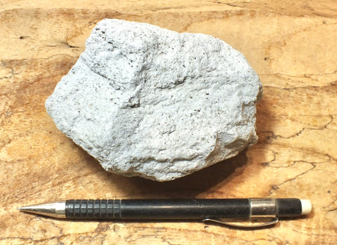 pumice - teaching hand/display specimen of white pumice that floats like a duck
