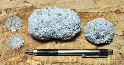 pyroclastic tuff balls - pair of tuff balls fused as they collided in the flow plus one normal