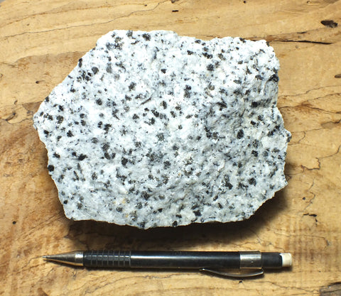 quartz diorite - display specimen of a spectacular subduction-related igneous rock
