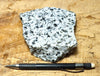 quartz diorite -  teaching hand specimen of a subduction-related granitic rock