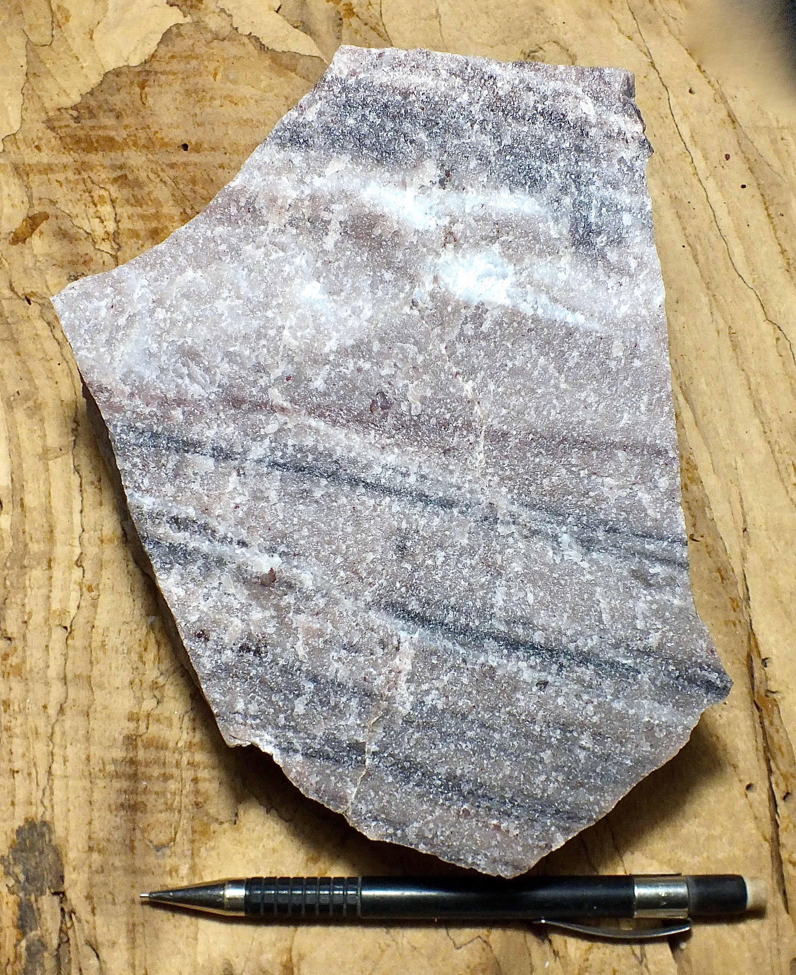 metamorphic rocks – Geological Specimen Supply
