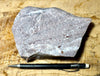 quartzite - maroon and gray-banded Lower Cambrian quartzite - display specimen