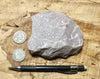 quartzite - pinkish Lower Cambrian quartzite - teaching hand specimen
