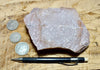 quartzite - pinkish Lower Cambrian quartzite - hand/display specimen