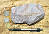 quartzite - pinkish Lower Cambrian quartzite - hand/display specimen