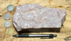 quartzite - pinkish Lower Cambrian quartzite - hand/display specimen