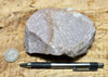 quartzite - pinkish Lower Cambrian quartzite - hand/display specimen