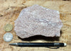 rhyolite porphyry - light pink rhyolite with small phenocrysts - hand/display specimen