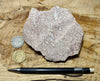 rhyolite porphyry - light pink rhyolite with small phenocrysts - hand specimen